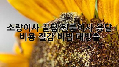 소량이사 꿀팁🍯 원룸이사 용달 비용 절감 비법 대방출! 🚚💨